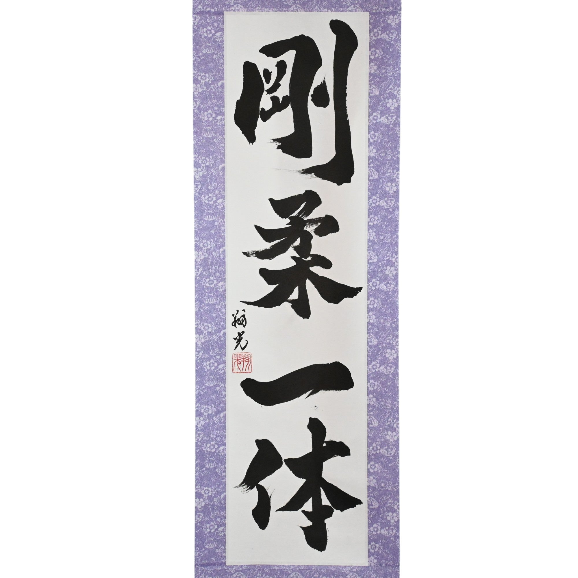 Unidade de Hard and Soft - 剛柔一体 (Gōjū Ittai)