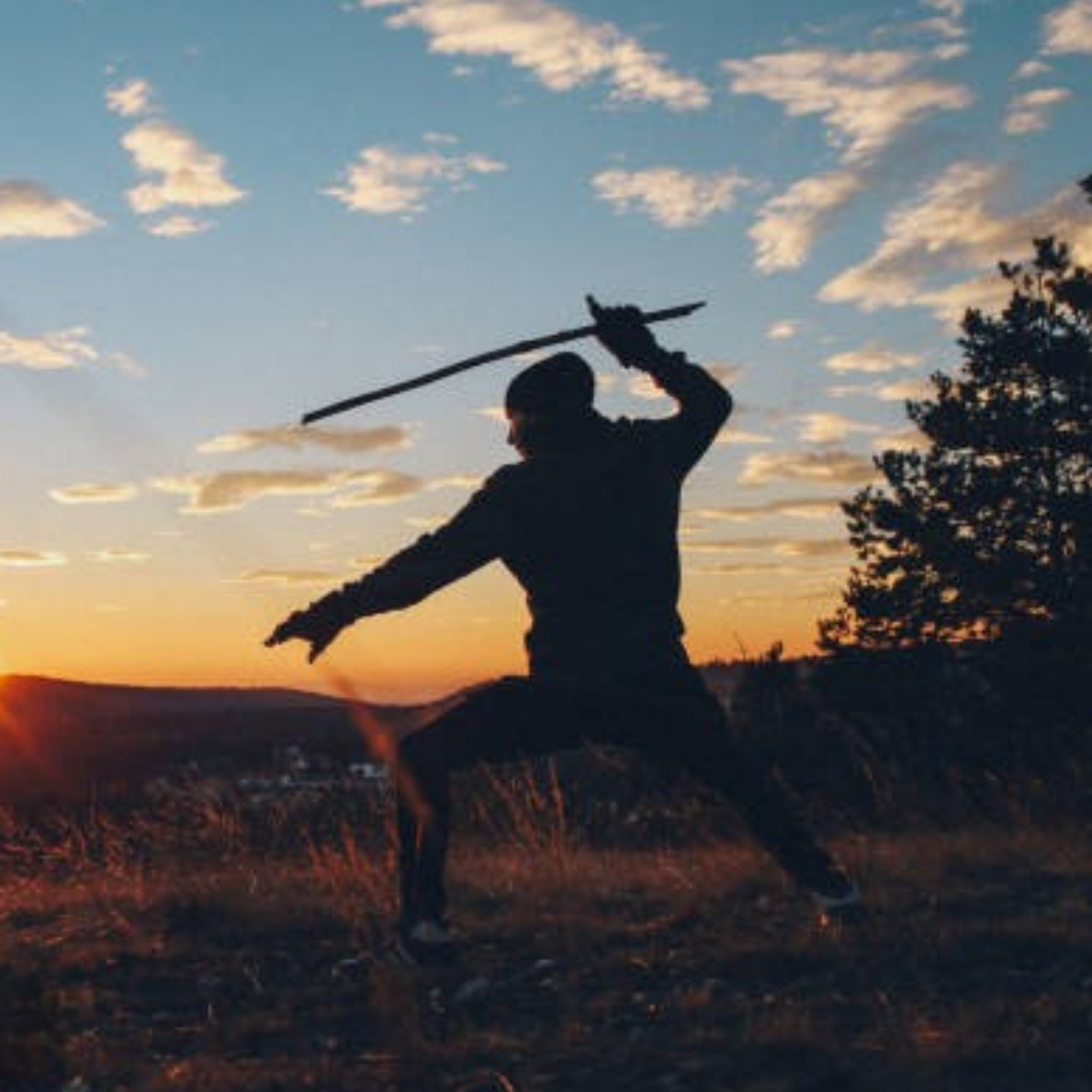 A jornada de disciplina do Samurai - 武者修行 (Musha Shugyo)