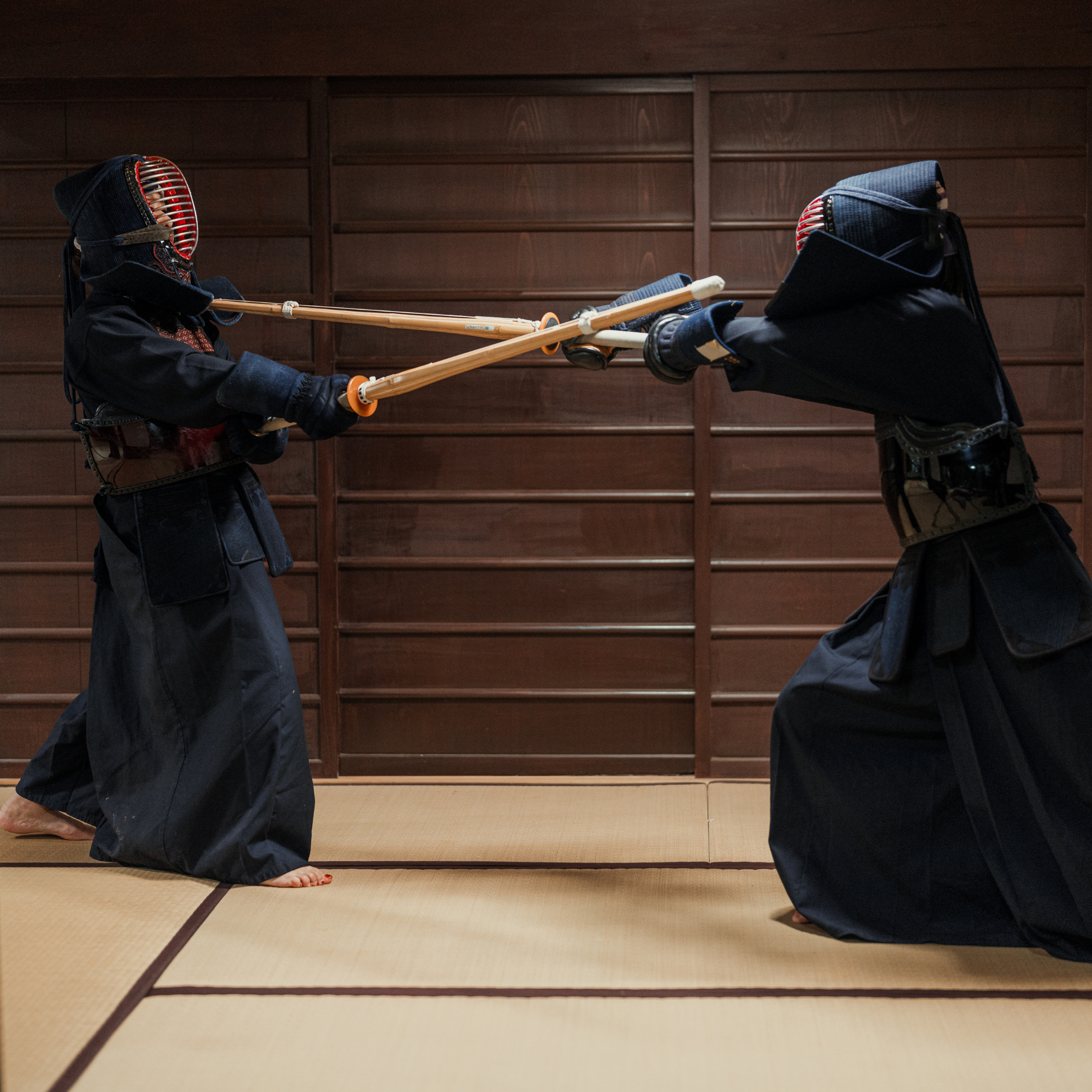 A jornada de disciplina do Samurai - 武者修行 (Musha Shugyo)